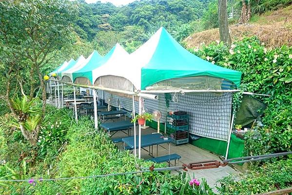 [貓空美食] 清泉山莊3人套餐，最推薦烏龍茶蛤蜊雞湯、涼筍