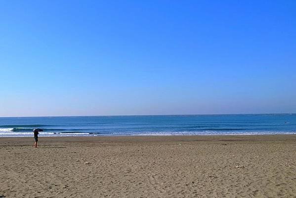 台南景點走一走：漁光島、正統鹿耳門聖母廟、七股黑面琵鷺展示館