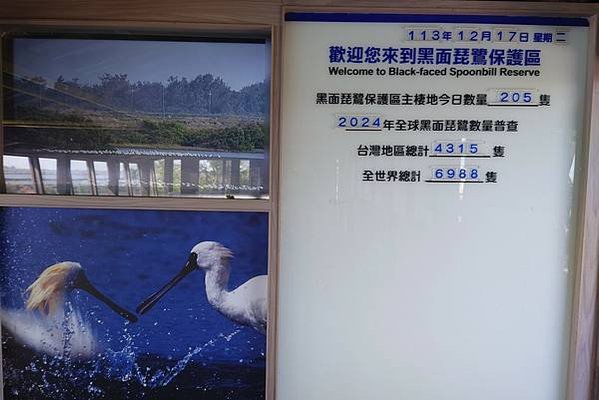 台南景點走一走：漁光島、正統鹿耳門聖母廟、七股黑面琵鷺展示館