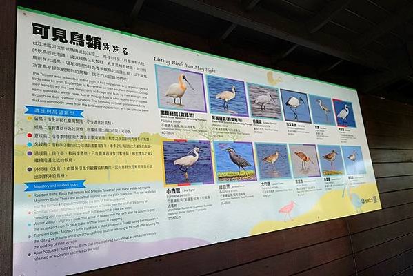 台南景點走一走：漁光島、正統鹿耳門聖母廟、七股黑面琵鷺展示館
