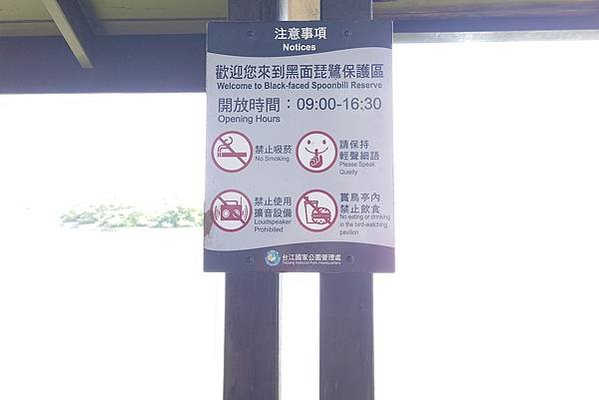 台南景點走一走：漁光島、正統鹿耳門聖母廟、七股黑面琵鷺展示館