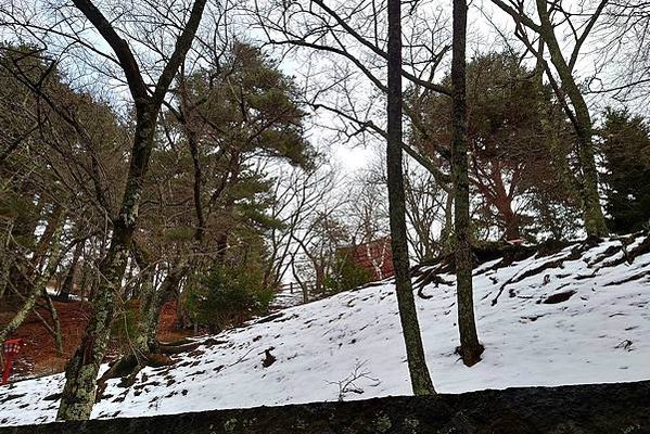 富士山包車出遊初體驗｜新倉富士淺間神社｜登近400個階梯，富