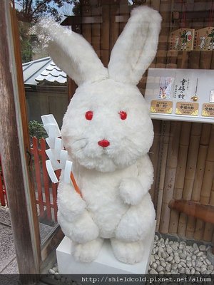 IMG_2035.JPG