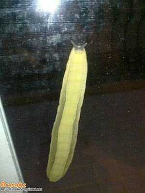 20120702_004