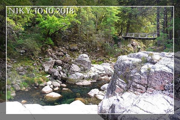 波多 ❚ Peneda-Gerês 國家公園★小業務與護理師