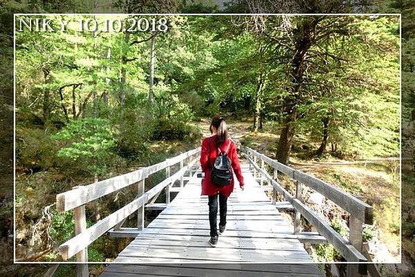 波多 ❚ Peneda-Gerês 國家公園★小業務與護理師