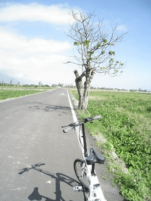 鯉魚潭、七星潭兩潭自行車道踏查記錄04-城中二街到道班休息站