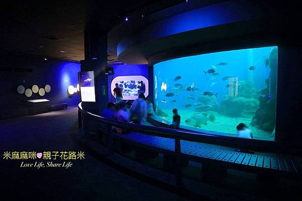 澎湖水族館, 澎湖全新開幕室內親子景點,澎湖 海底隧道, 澎湖 海龜