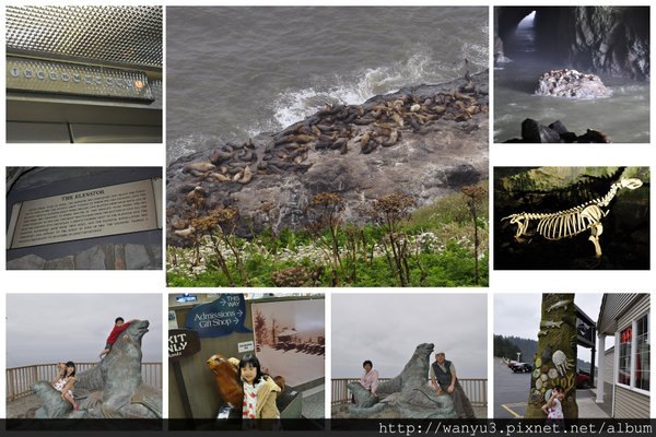 SEA LION CAVE.jpg