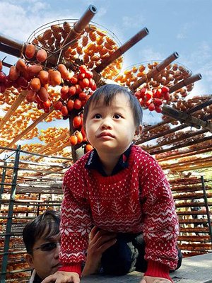 新竹景點 新埔美食 味衛佳 柿餅 觀光農場 Little Bear&apos;s Life