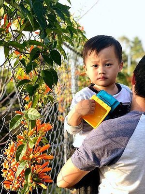 衝到山上去放空 苗栗露營 露營區 民宿 Little Bear&apos;s Life 