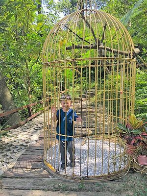 【桃園 新竹景點】2019森林鳥花園 最貼心的親子景點 新竹2天1夜/超長森林 最貼心的親子景點 新竹2天1夜/超長森林溜滑梯/戲水消暑/生態鳥園/樹屋/賽車場/新埔推薦景點/IG打卡溜滑梯/戲水消暑/生態鳥園/樹屋/賽車場/新埔推薦景點/IG打卡