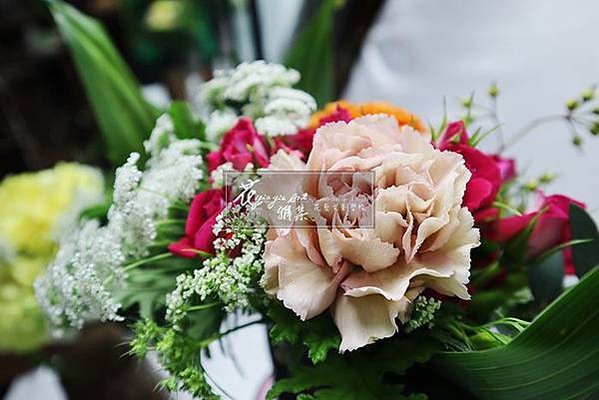 IMG_1262s