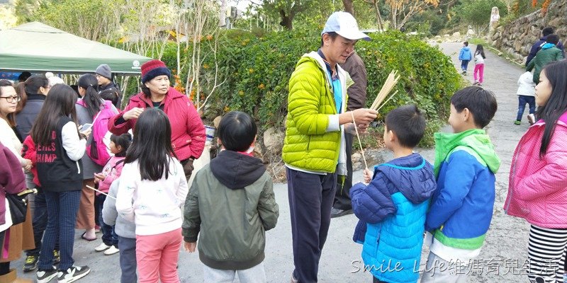 ▌森林人第06露▌南投水岸松林農場營地。風格獨特精靈村。哈比屋、水管屋、貨櫃屋、花園小木屋套房…任君挑選