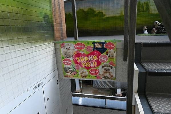 【日本大阪】日本大阪也有像東京秋葉原的地方，意外發現刺蝟的咖