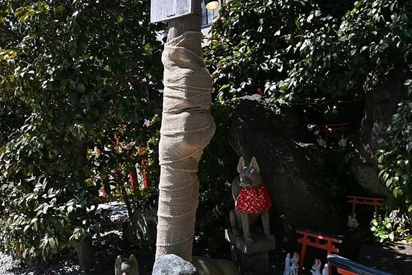 【日本東京】穴守稻荷神社，東京羽田機場附近的神社，超多小鳥居