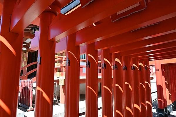 【日本東京】穴守稻荷神社，東京羽田機場附近的神社，超多小鳥居