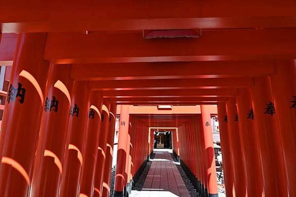 【日本東京】穴守稻荷神社，東京羽田機場附近的神社，超多小鳥居
