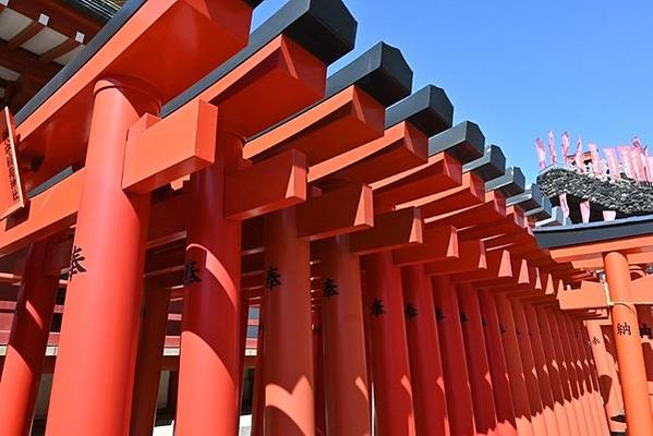 【日本東京】穴守稻荷神社，東京羽田機場附近的神社，超多小鳥居