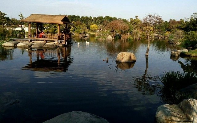 澄霖沉香味道森林館 (13)
