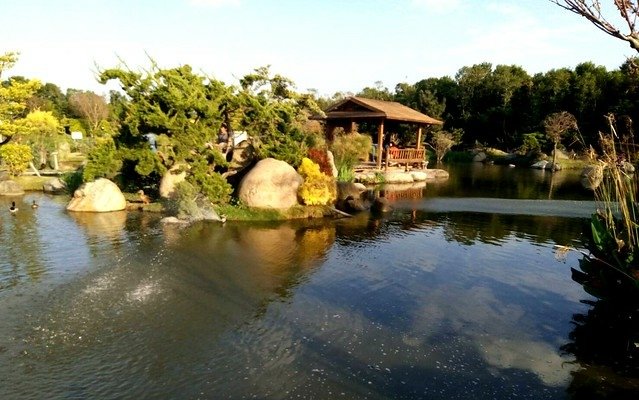 澄霖沉香味道森林館 (14)