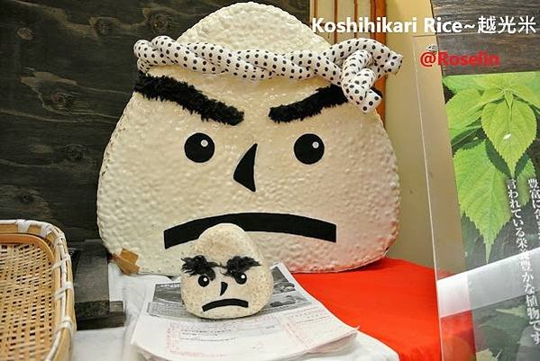 越光米 Koshihikari Rice