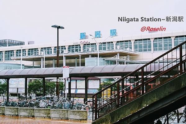 Niigata Station~新潟駅 2