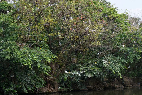 臺北好地方～大安森林公園&amp;永康隨走