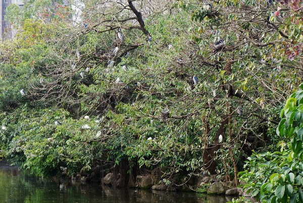 臺北好地方～大安森林公園&amp;永康隨走