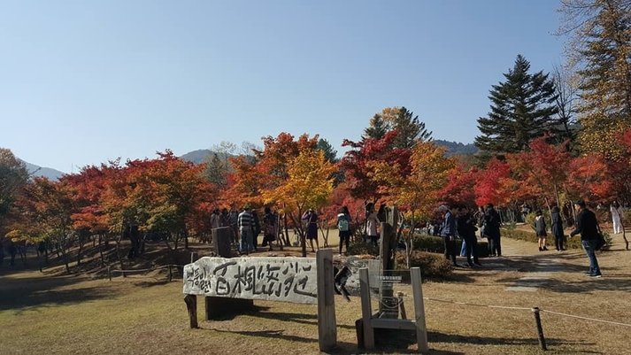 韓國-南怡島秋遊.2017.10.24 (196).jpg