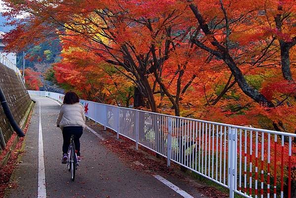 耶馬自行車道 (2)