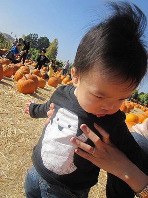 Spina Farms Pumpkin Patch (23)