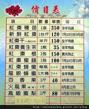 採紅棗018.jpg