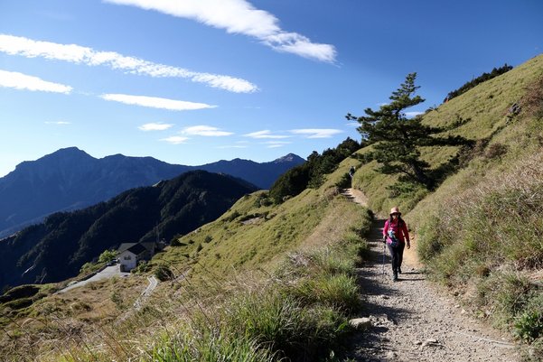 合歡山 9 p.jpg
