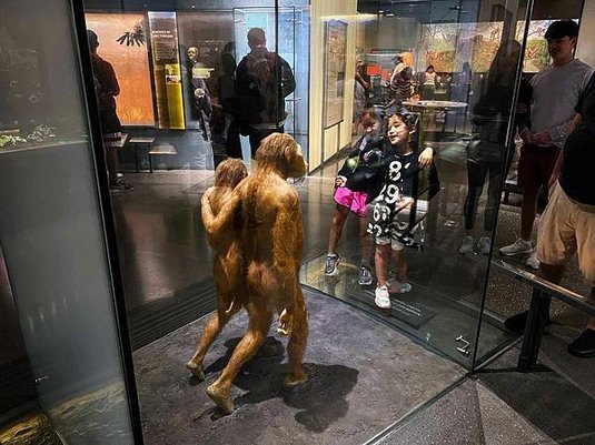 hominin的中文是什麼？不是人族！古人類？