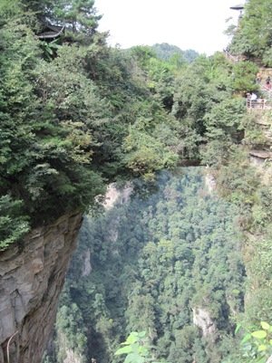 IMG_1451