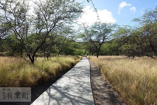 【夏威夷景點】鑽石頭山 Diamond Head：夏威夷爬山