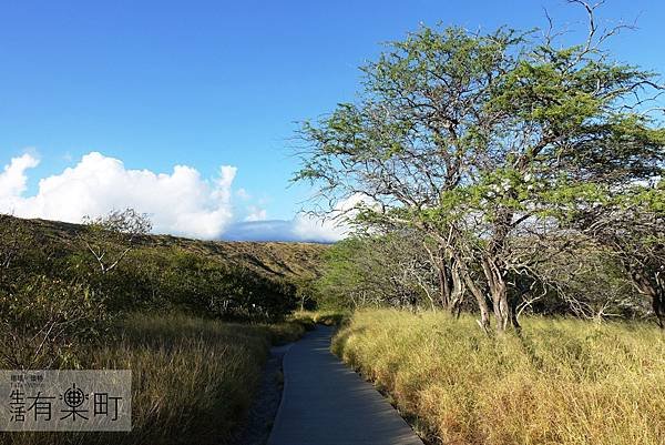 【夏威夷景點】鑽石頭山 Diamond Head：夏威夷爬山