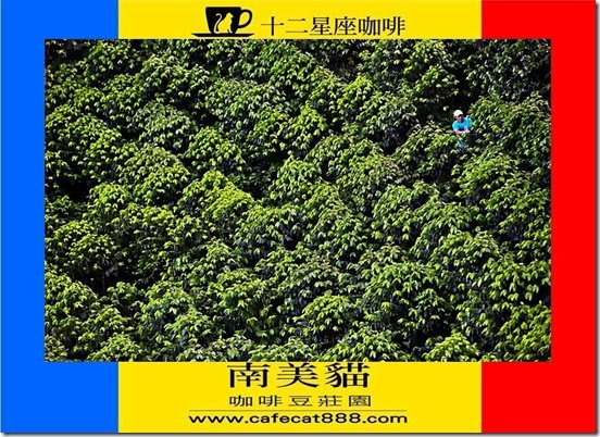 簡報1
