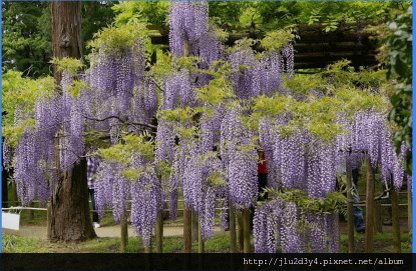 萬葉植物園2.png