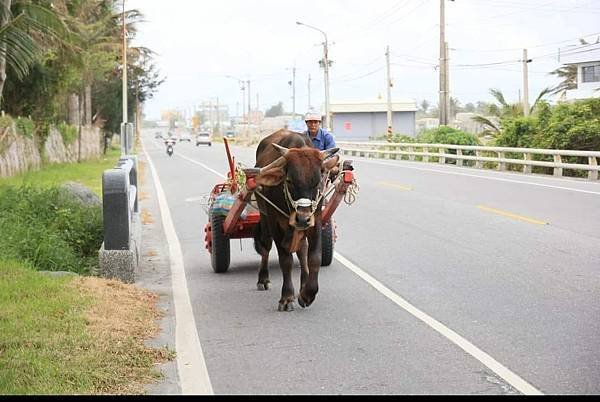 台灣最早出現的牛車，是板輪牛車。板輪牛車，顧名思義是以木板為