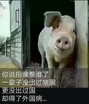 S__13828123.jpg