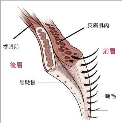 螢幕擷取畫面 2020-10-02 090250