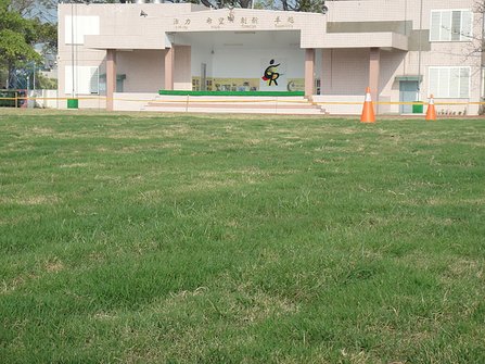 DSC00430.JPG