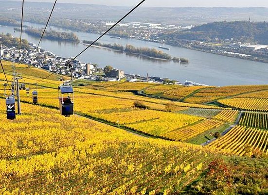 Mit-Kindern-im-Rheingau_Rüdesheim-am-Rhein.jpg