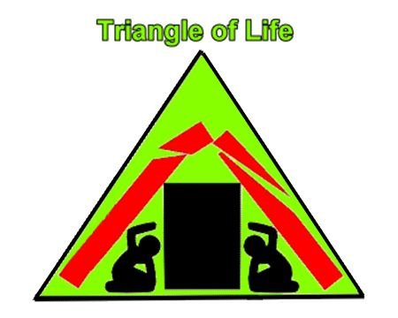 triangle of life.jpg