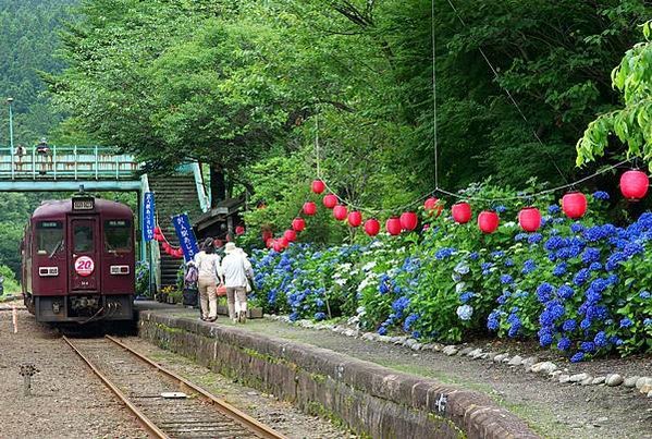 わたらせ渓谷鐵道　あじさいまつり（みどり市）