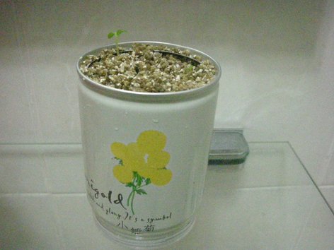 DSCN0117.JPG