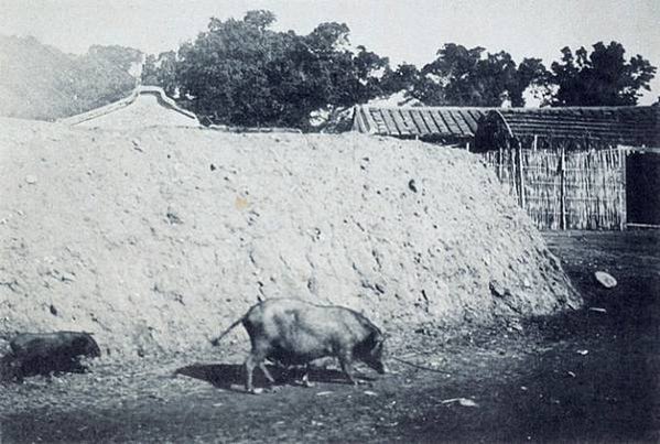 老照片/台湾 1896