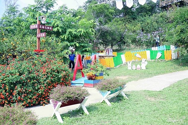 苗栗橙香森林71.jpg